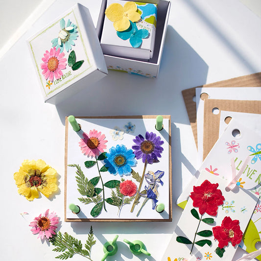 4M - Green Science - Pressed Flower Art Kit