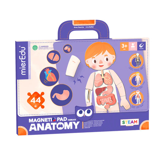 MierEdu - Magnetic Pad - Anatomy