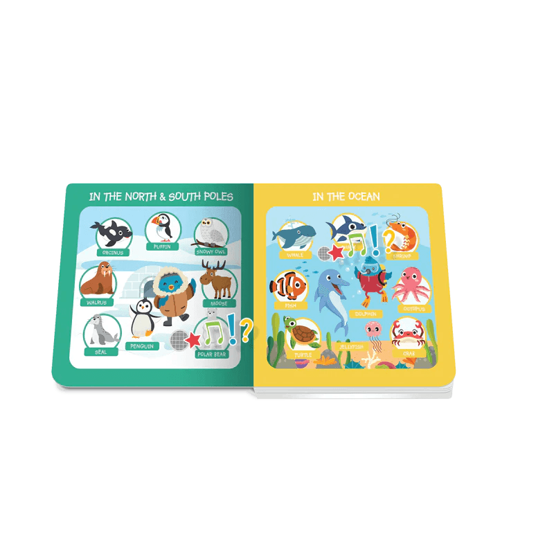 Ditty Bird - First 100 Animals Board Book - Baby Harbour