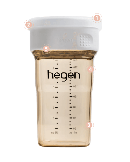 Hegen PCTO™ 240ml All-Rounder Cup PPSU (12 Months +) - Baby Harbour