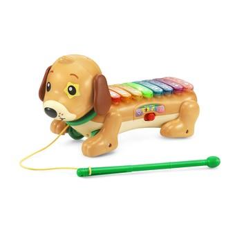 Vtech - Zoo Jame Doggy Xylophone - Baby Harbour