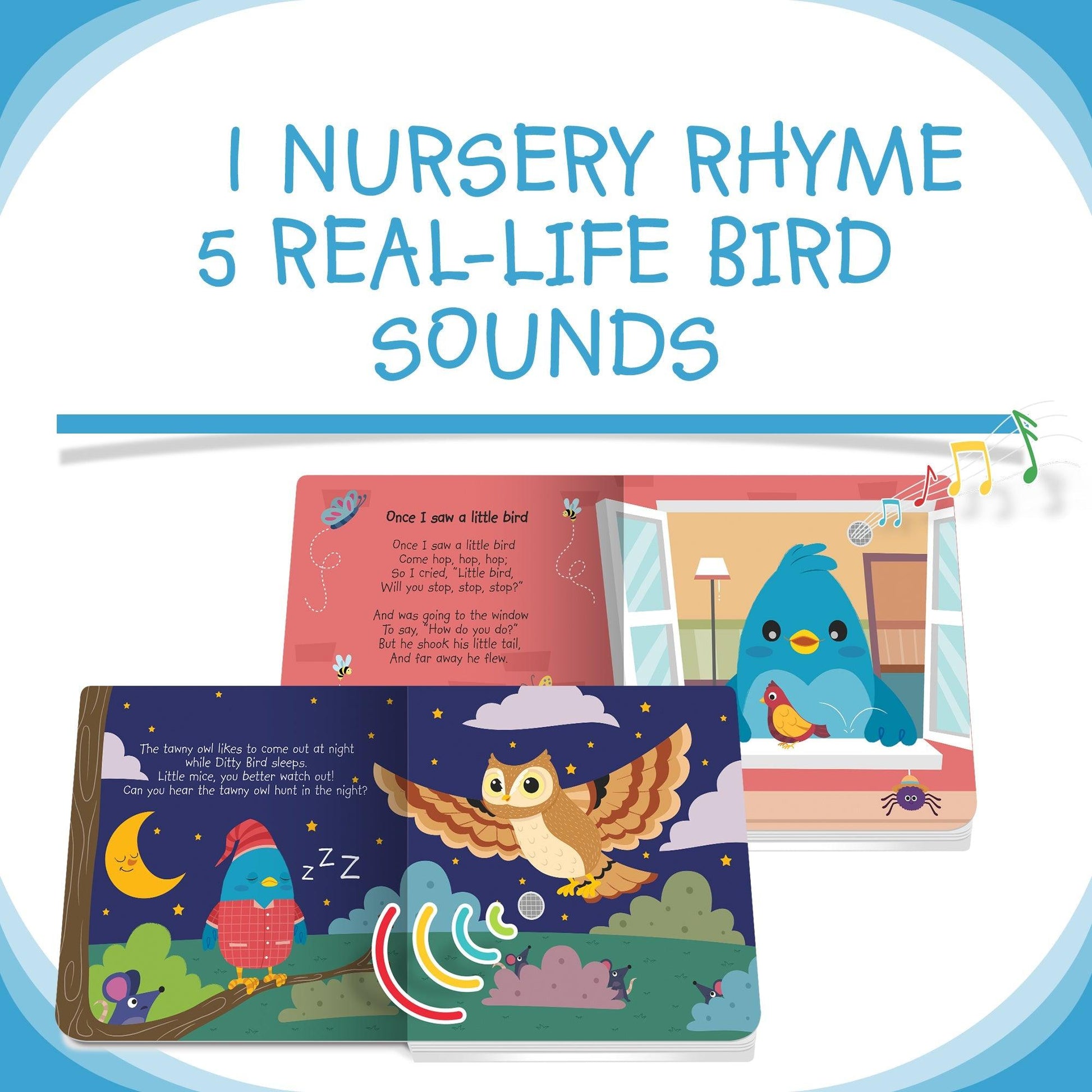 Ditty Bird - Bird Songs Board Books - Baby Harbour