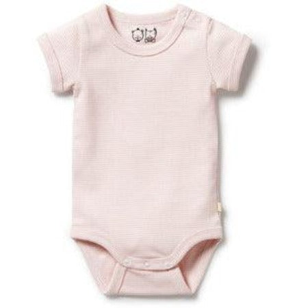 Wilson Frenchy - Organic Stripe Rib Bodysuit Cantaloupe - Baby Harbour