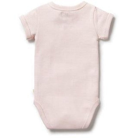 Wilson Frenchy - Organic Stripe Rib Bodysuit Cantaloupe - Baby Harbour