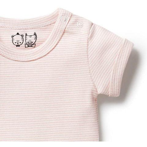 Wilson Frenchy - Organic Stripe Rib Bodysuit Cantaloupe - Baby Harbour