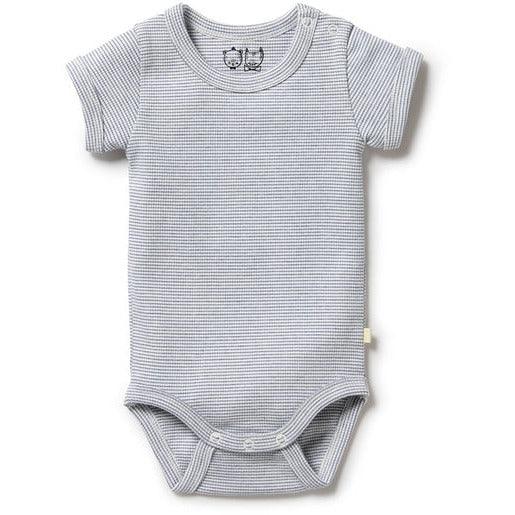 Wilson Frenchy - Organic Stripe Rib Bodysuit Rain Drop - Baby Harbour